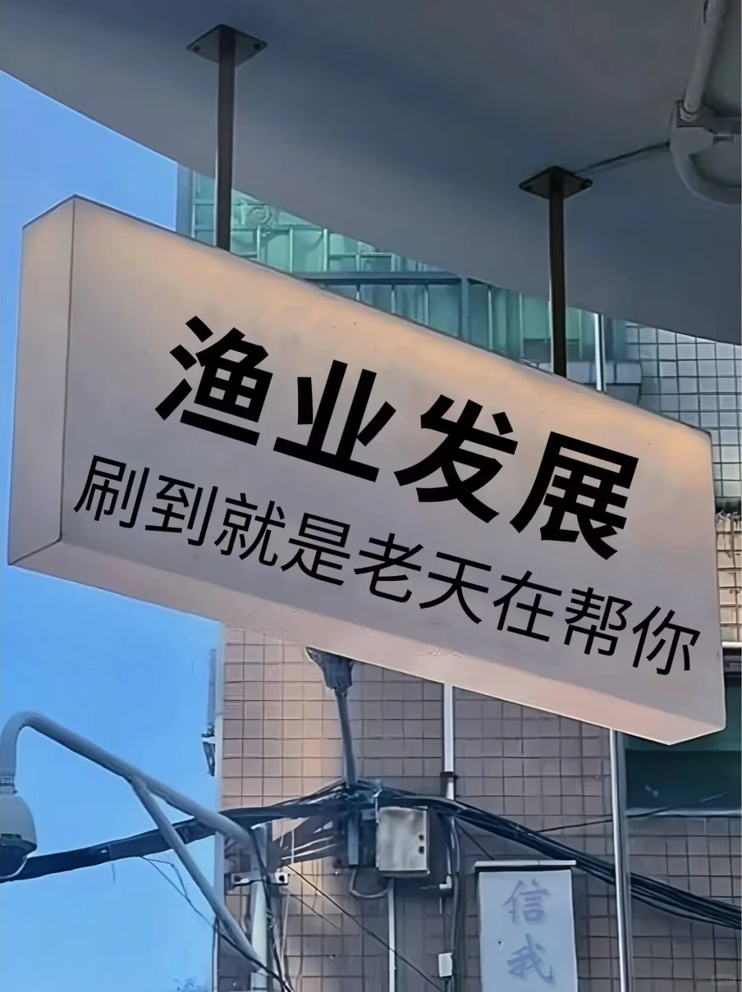 求求了🙏渔业发展专业的一定要刷到啊！