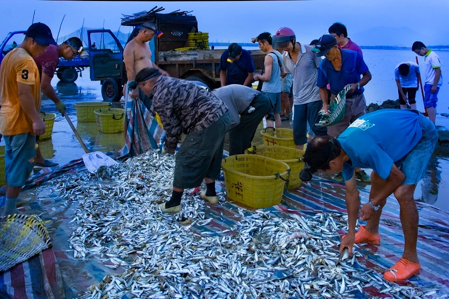 渔民在工作中面临哪些具体挑战