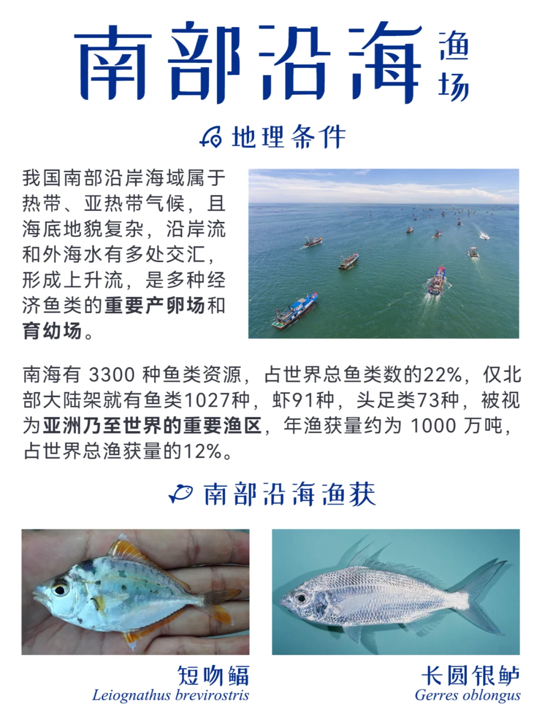 近海渔获 | 中国四大渔场