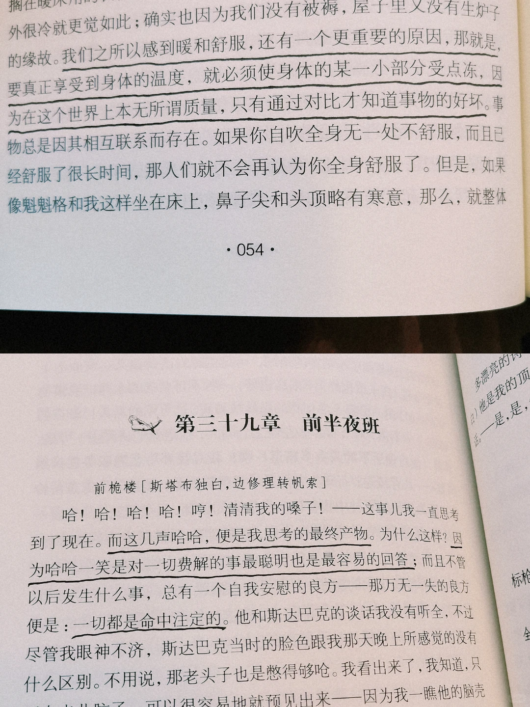 阅读日记｜初读白鲸，它在南太平洋的盛夏