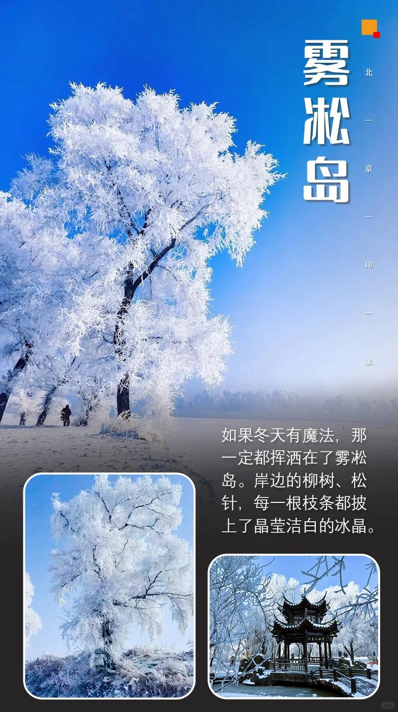 元旦查干湖冬捕雾凇岛净月潭