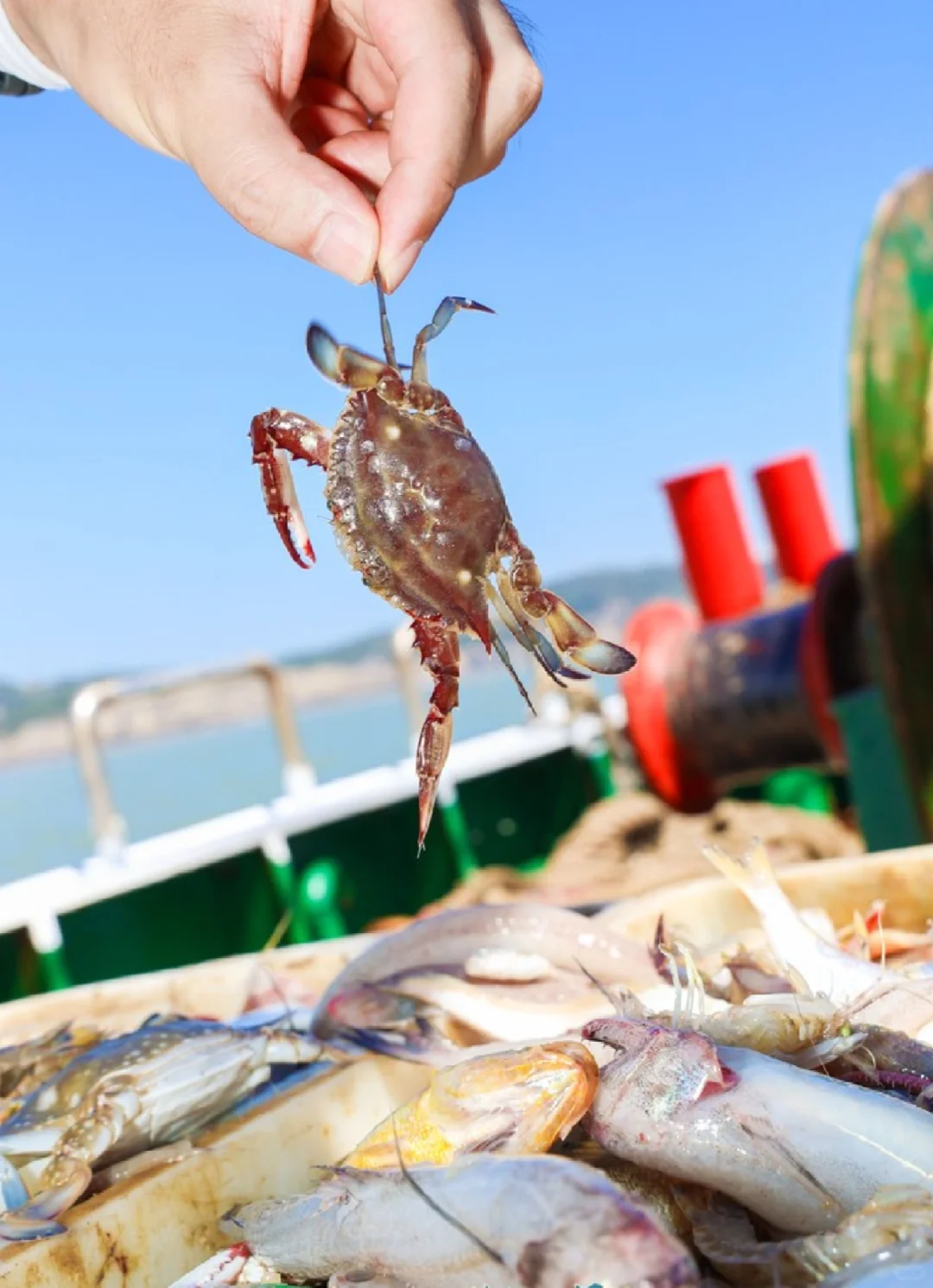 沉浸式体验出海捕鱼🐟🐟🐟