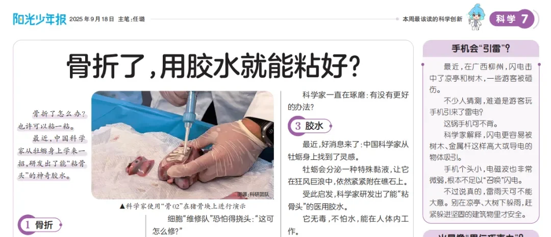 为什么要建黄岩岛自然保护区