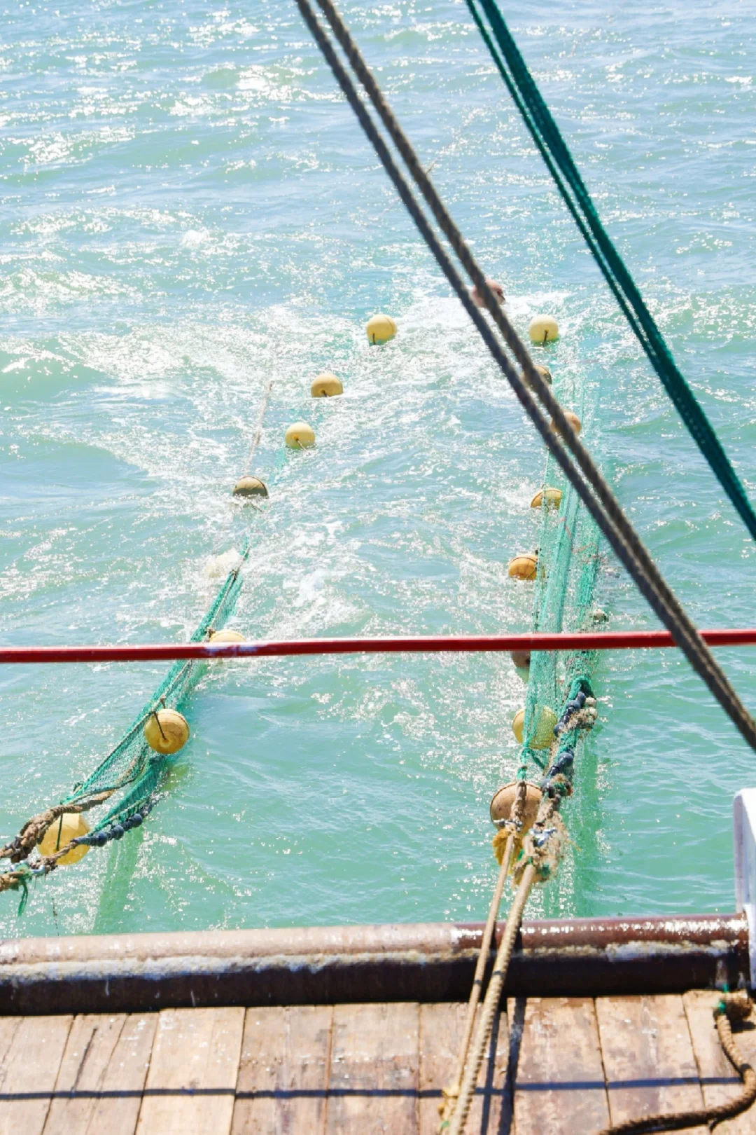 沉浸式体验出海捕鱼🐟🐟🐟