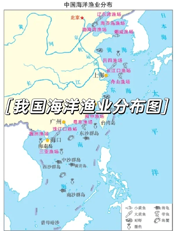 我国海洋渔业分布和海洋资源分布图‼️