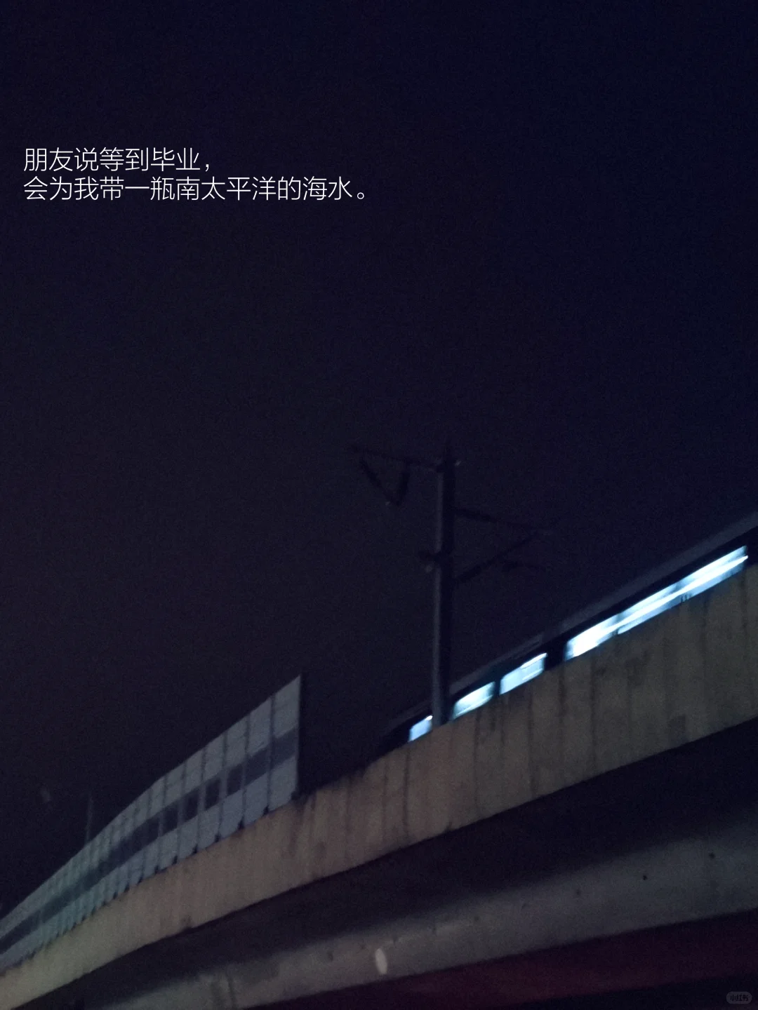 阅读日记｜初读白鲸，它在南太平洋的盛夏