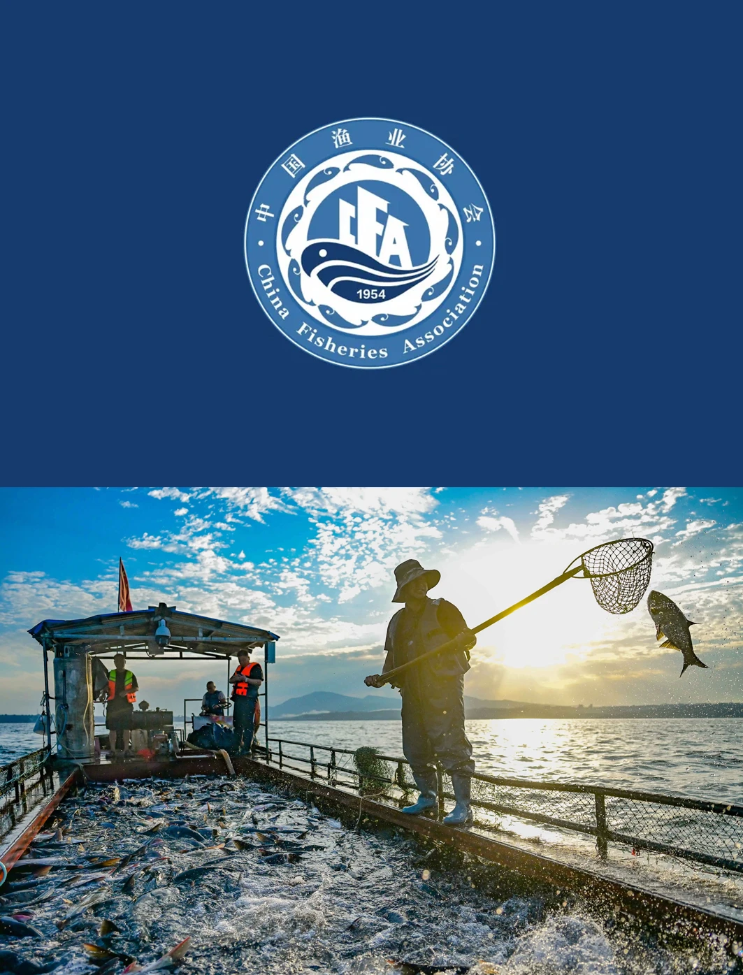 化简为繁，中国渔业协会发布新会徽