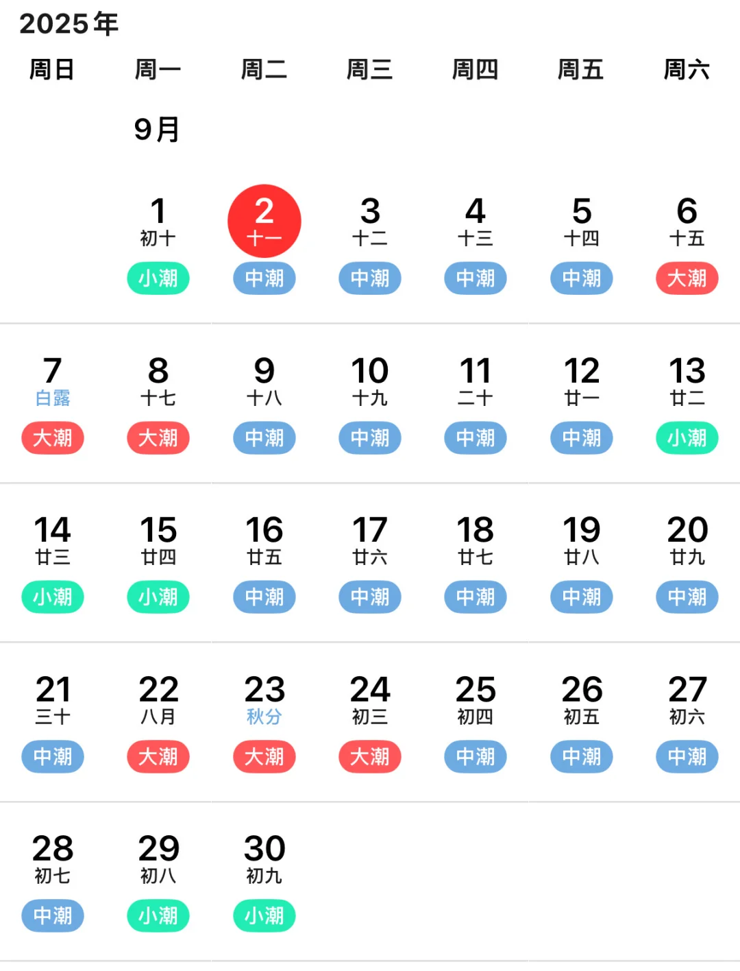 烟台9️⃣月赶海 不知道想哪天赶海的看过来