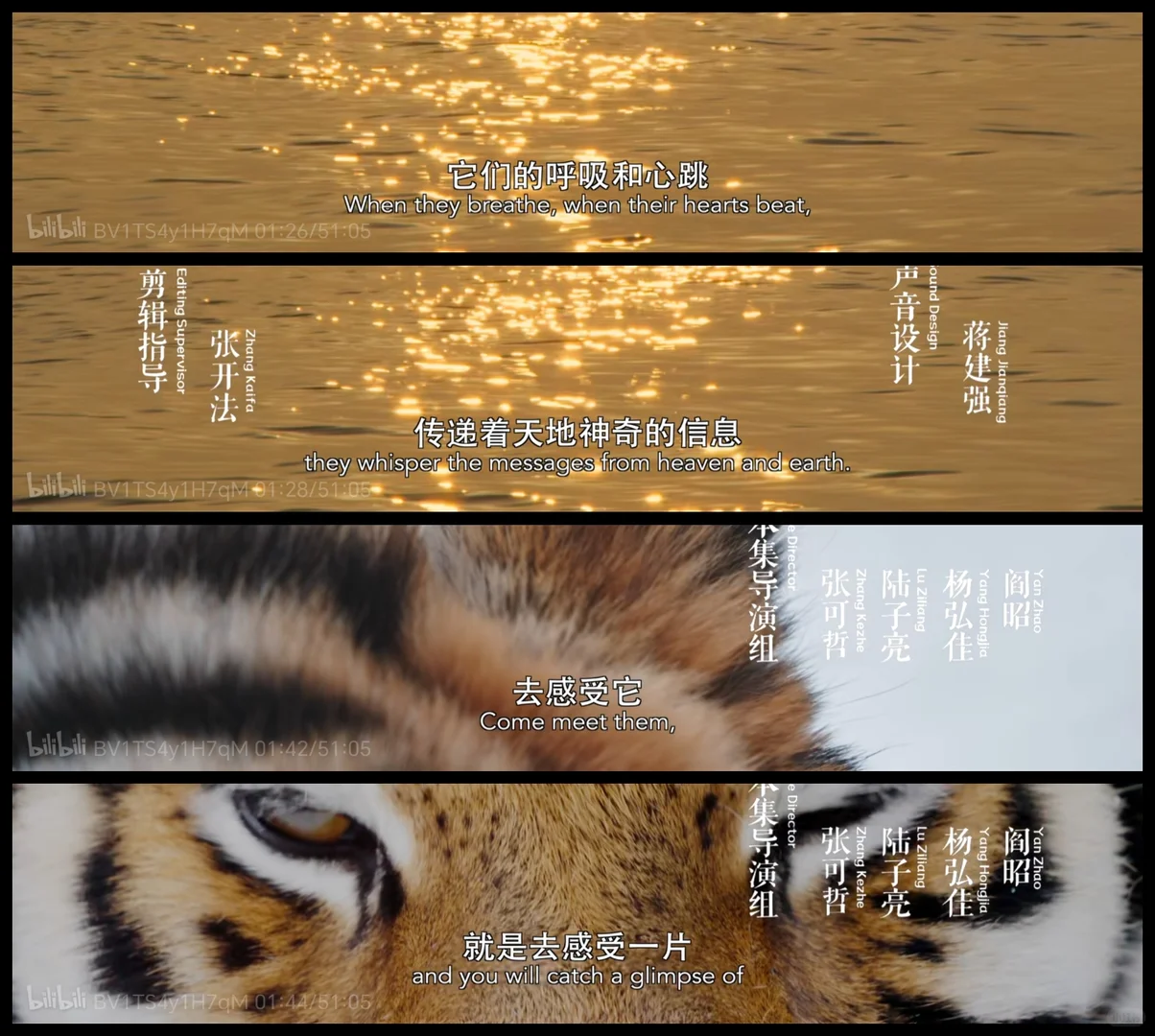 去做维持平衡的一环，就会得到神迹的护佑