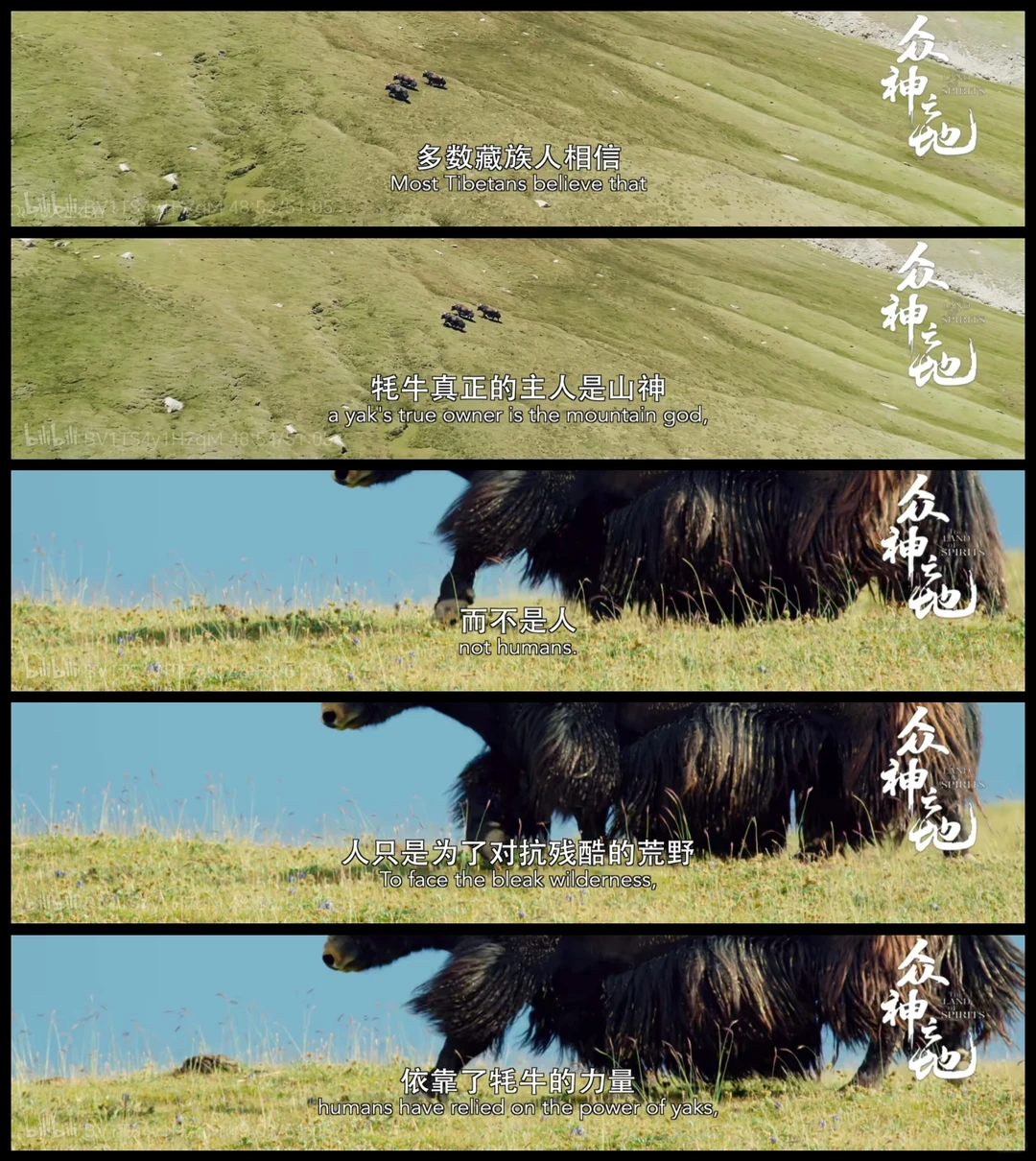 去做维持平衡的一环，就会得到神迹的护佑