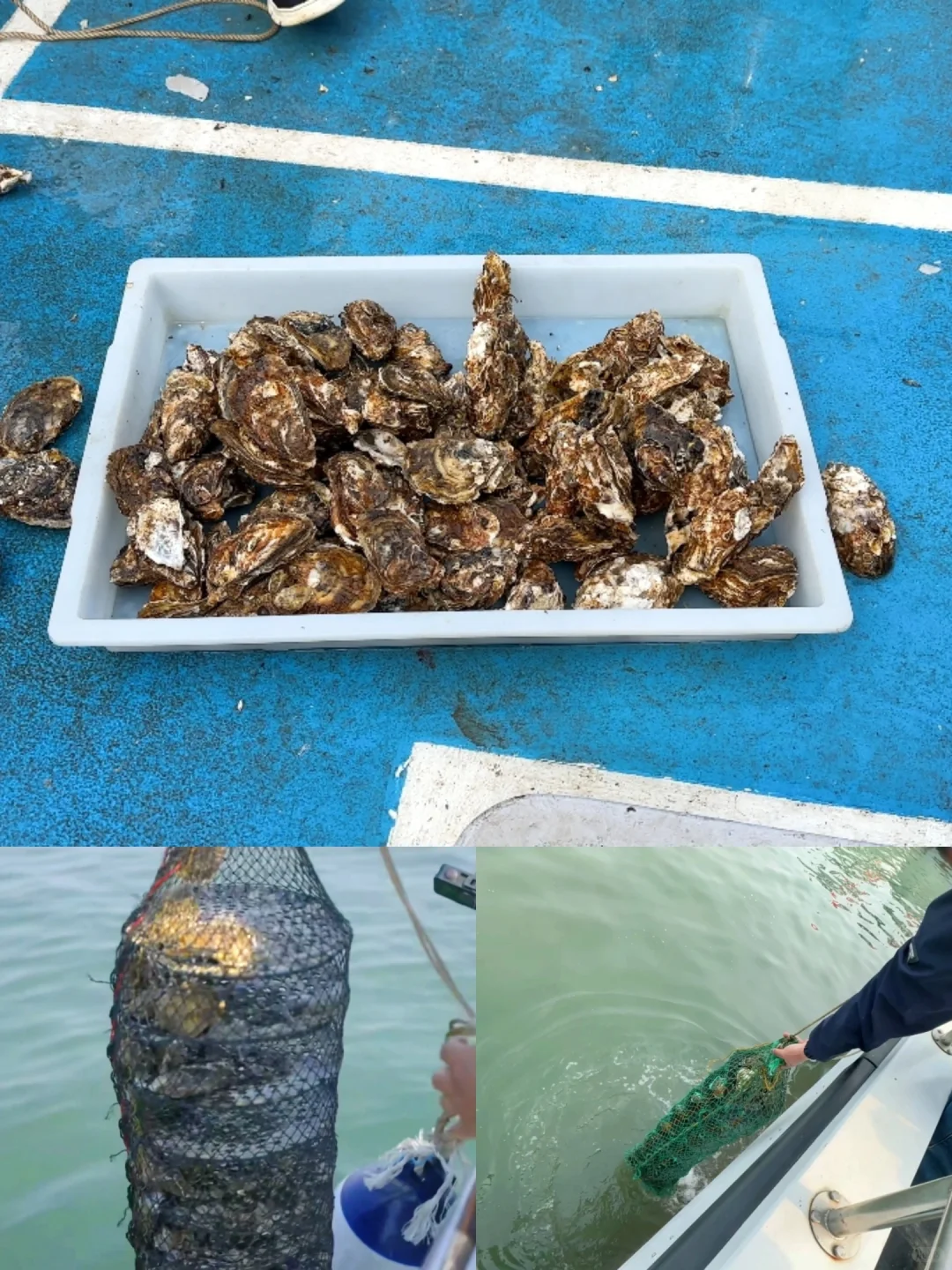 探索海洋奥秘🌊休闲渔业的无限乐趣🐠