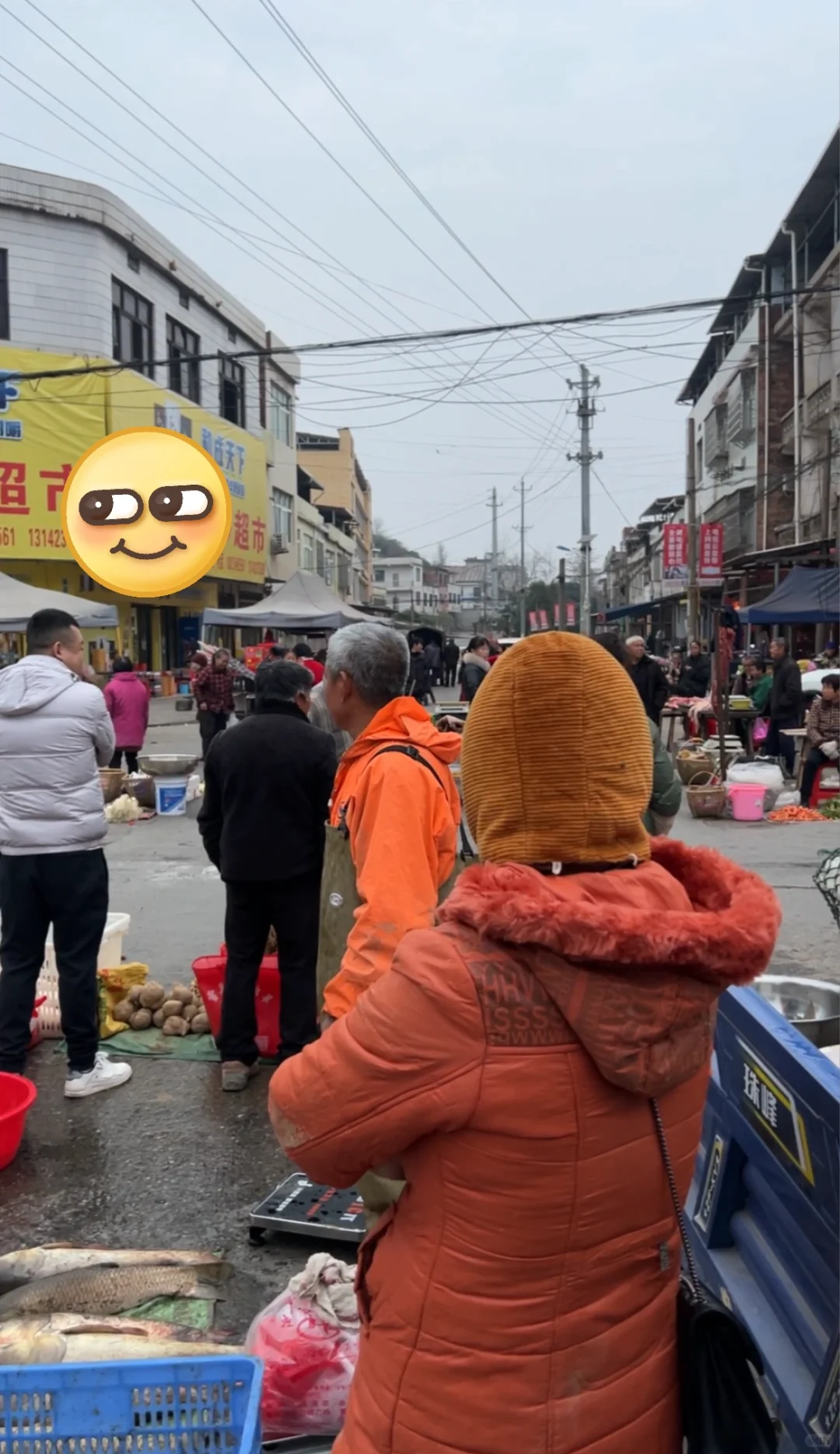 一天赚五块钱,我爸妈也干了五年