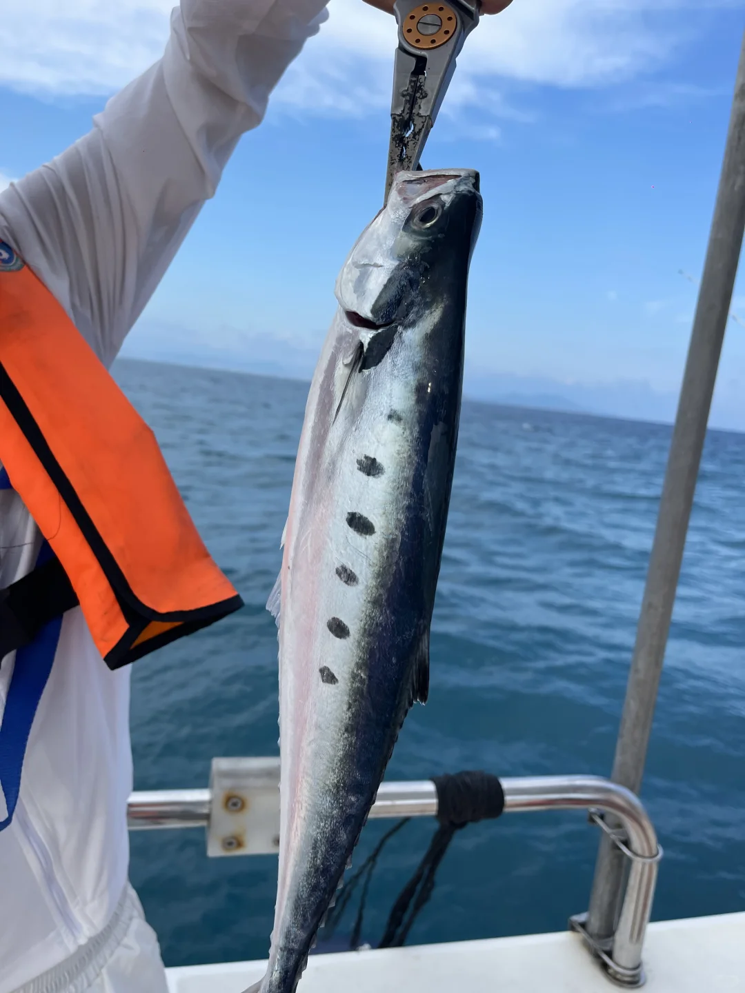 三亚海钓，海钓新手必看！