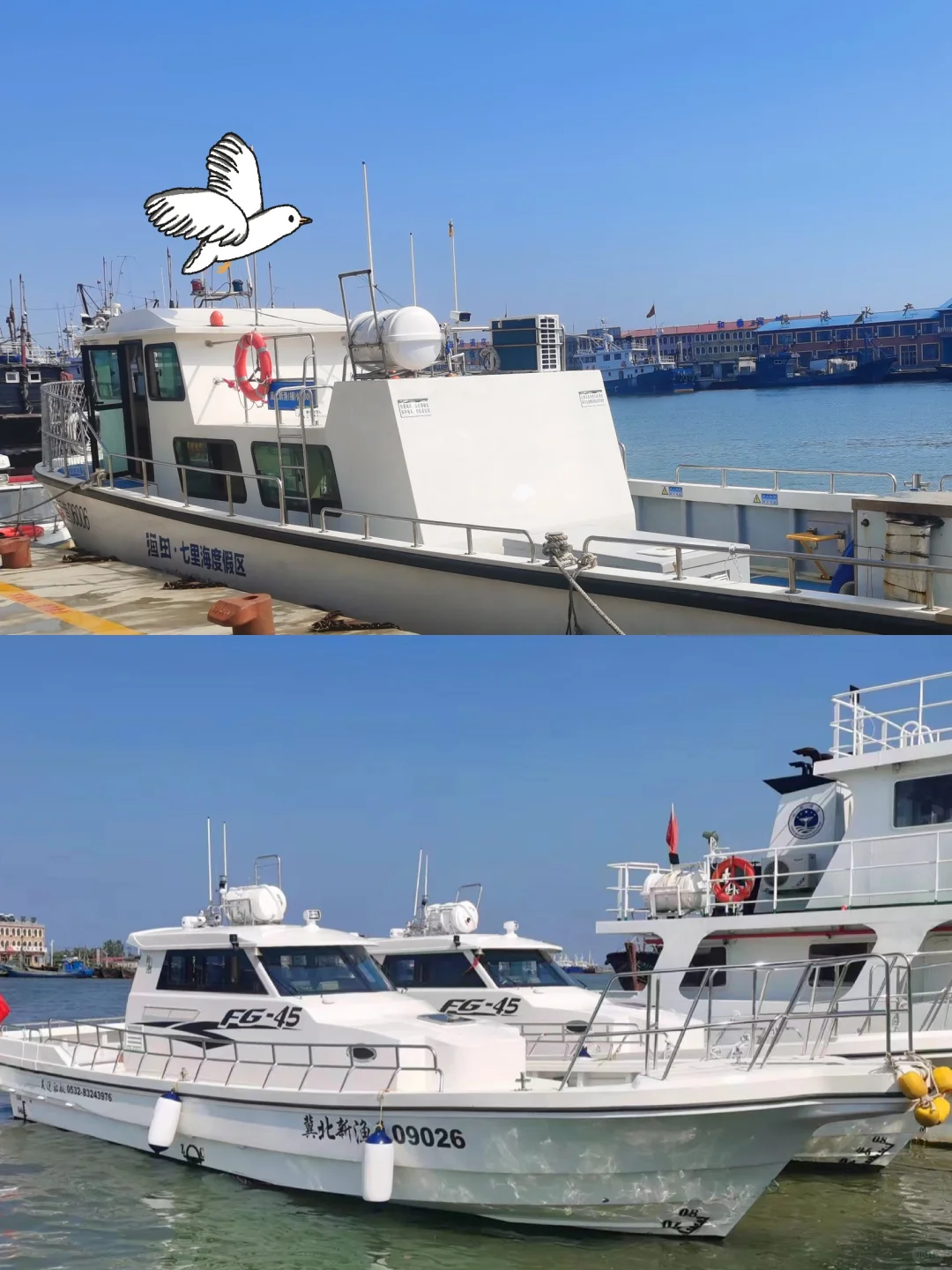 探索海洋奥秘🌊休闲渔业的无限乐趣🐠