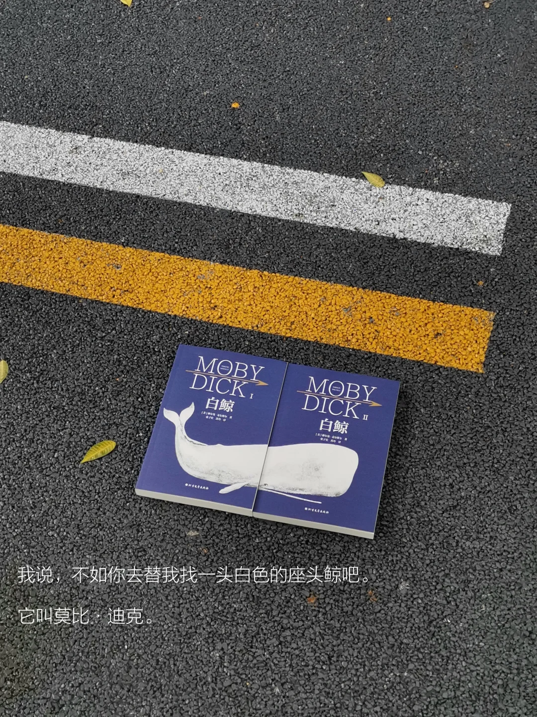 阅读日记｜初读白鲸，它在南太平洋的盛夏