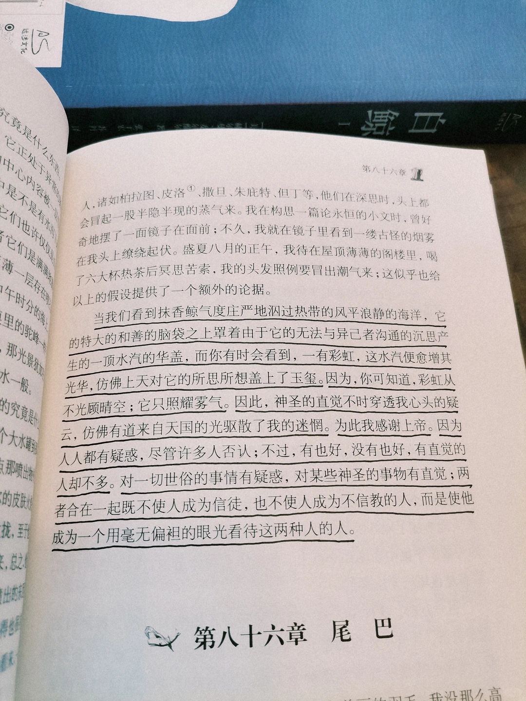 阅读日记｜初读白鲸，它在南太平洋的盛夏