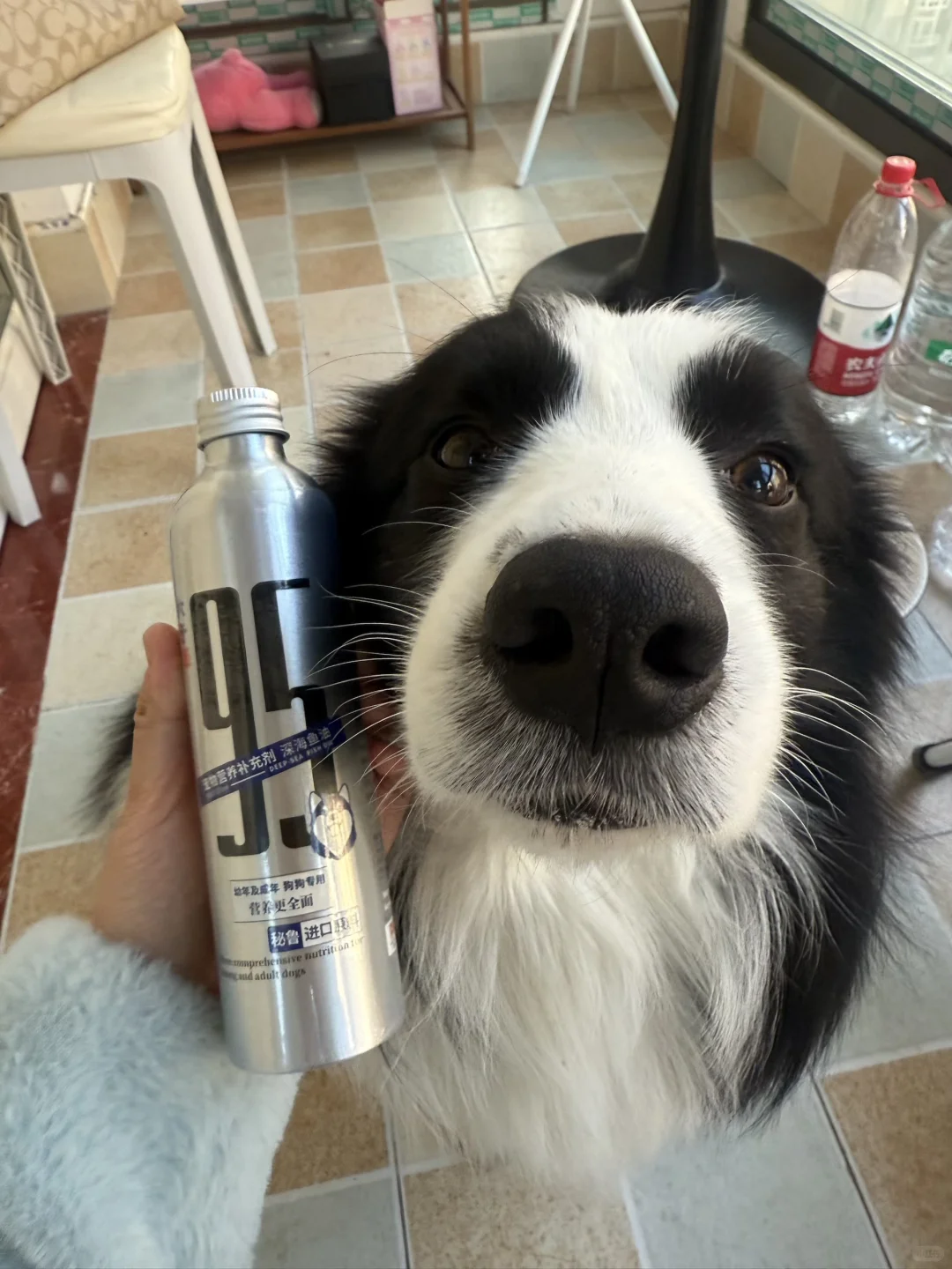 养宠人请进｜养宠人好物分享