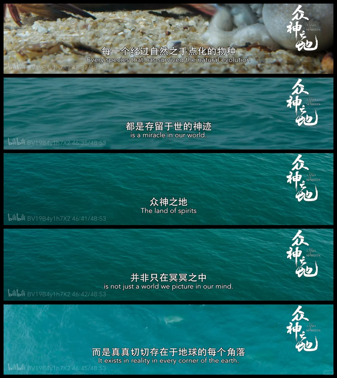 去做维持平衡的一环，就会得到神迹的护佑