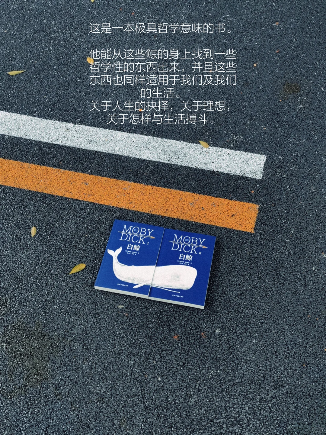 阅读日记｜初读白鲸，它在南太平洋的盛夏