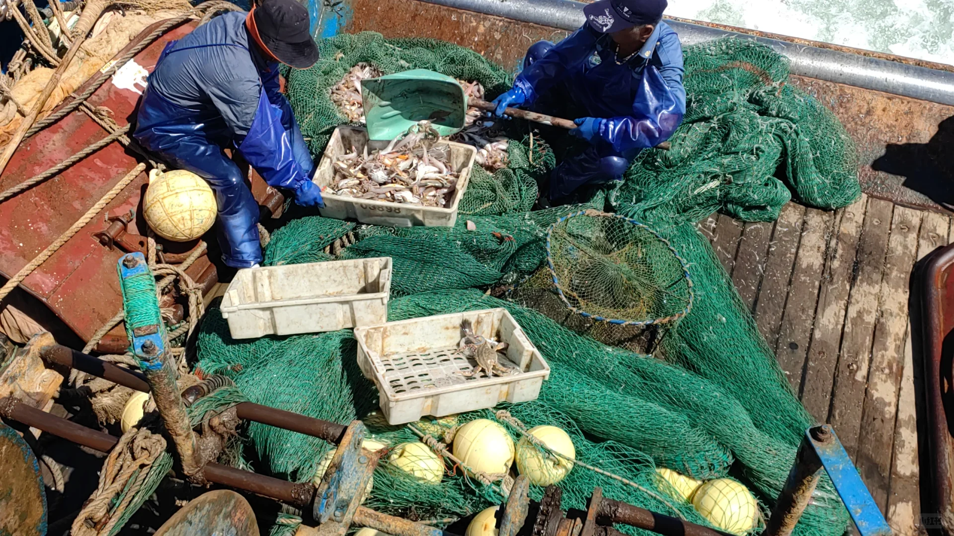 沉浸式体验出海捕鱼🐟🐟🐟