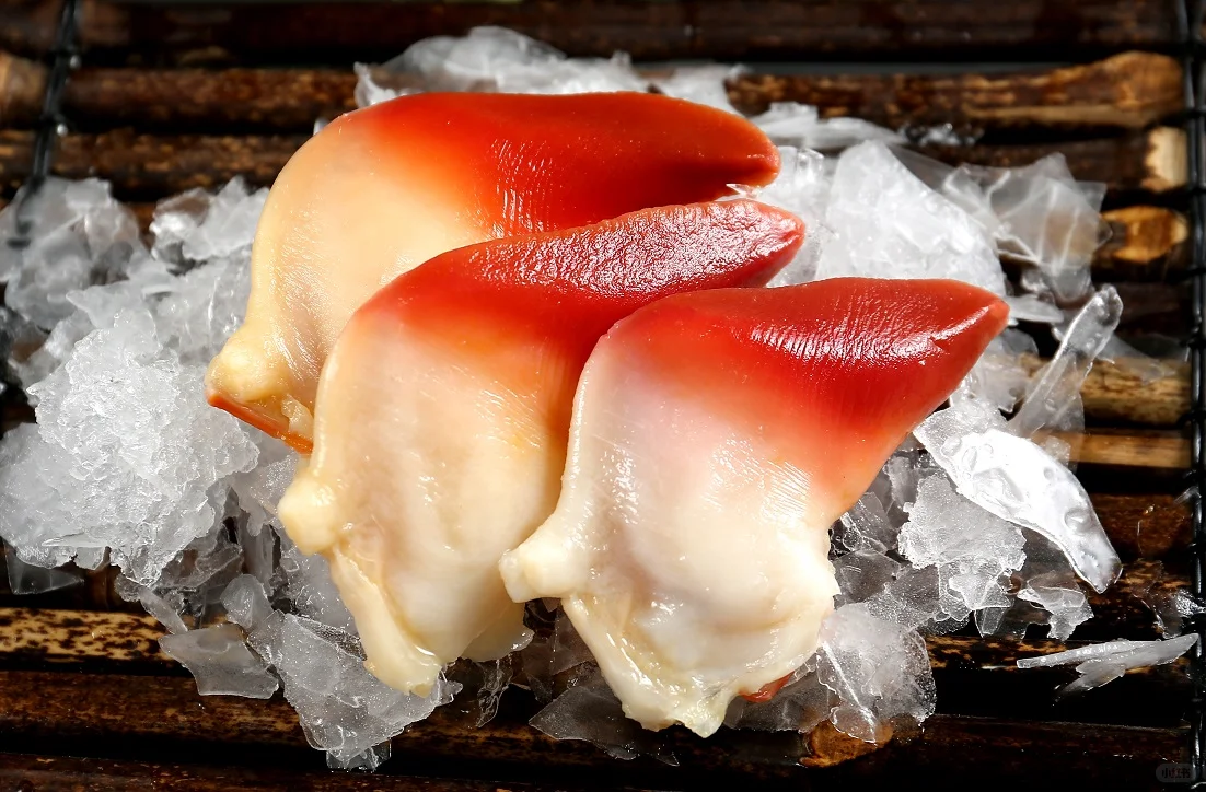 海川渔业展台将亮相19ᵗʰ上海渔博会