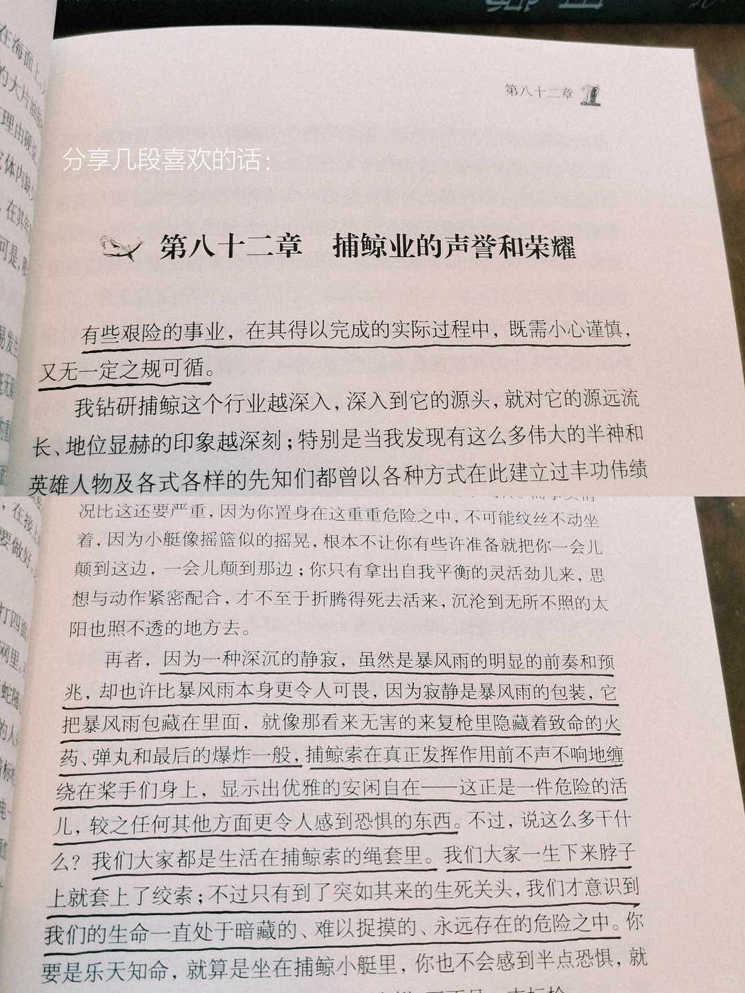 阅读日记｜初读白鲸，它在南太平洋的盛夏