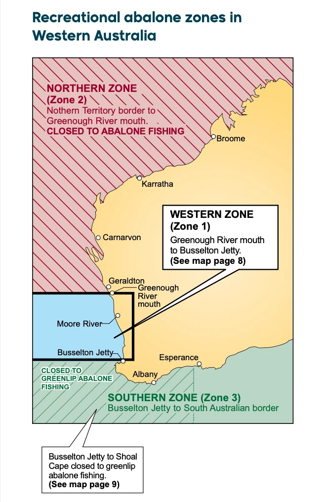 2025-2026西澳捞鲍鱼季最全指南‼️