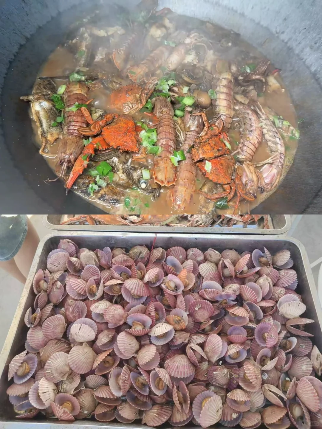 探索海洋奥秘🌊休闲渔业的无限乐趣🐠