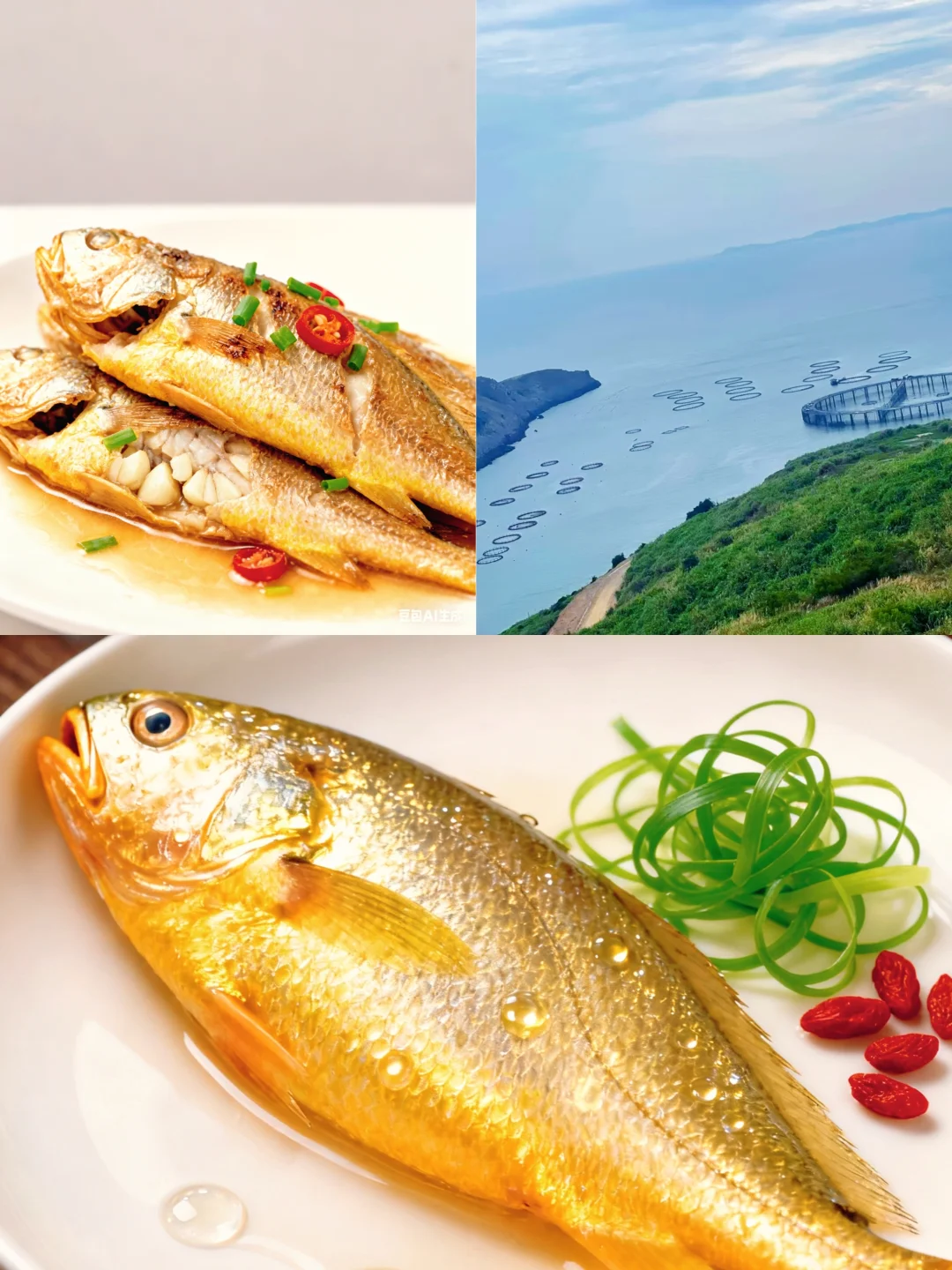 养殖黄鱼做好比野生的还香