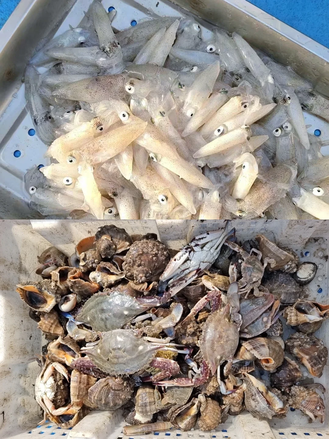 探索海洋奥秘🌊休闲渔业的无限乐趣🐠