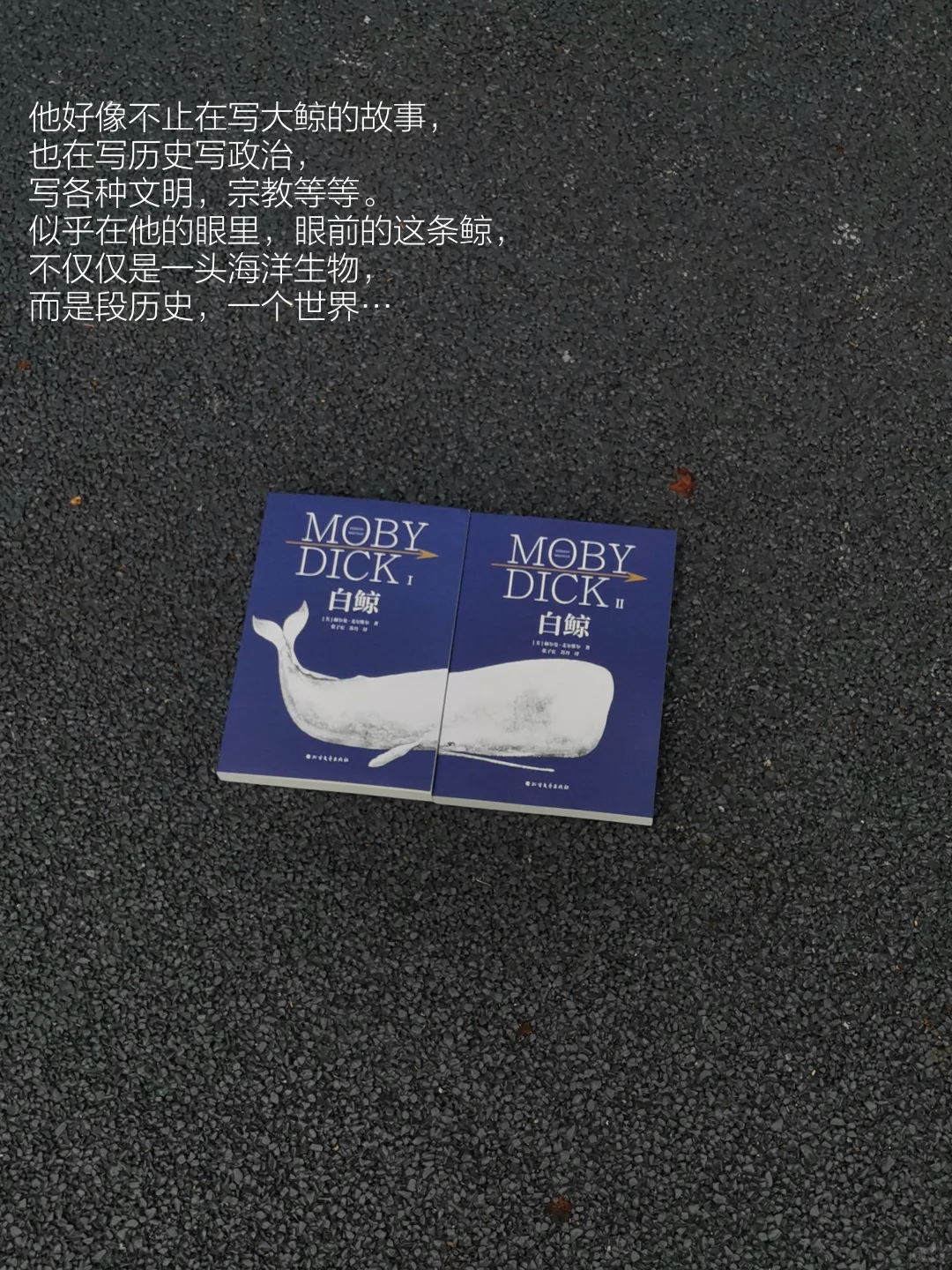 阅读日记｜初读白鲸，它在南太平洋的盛夏