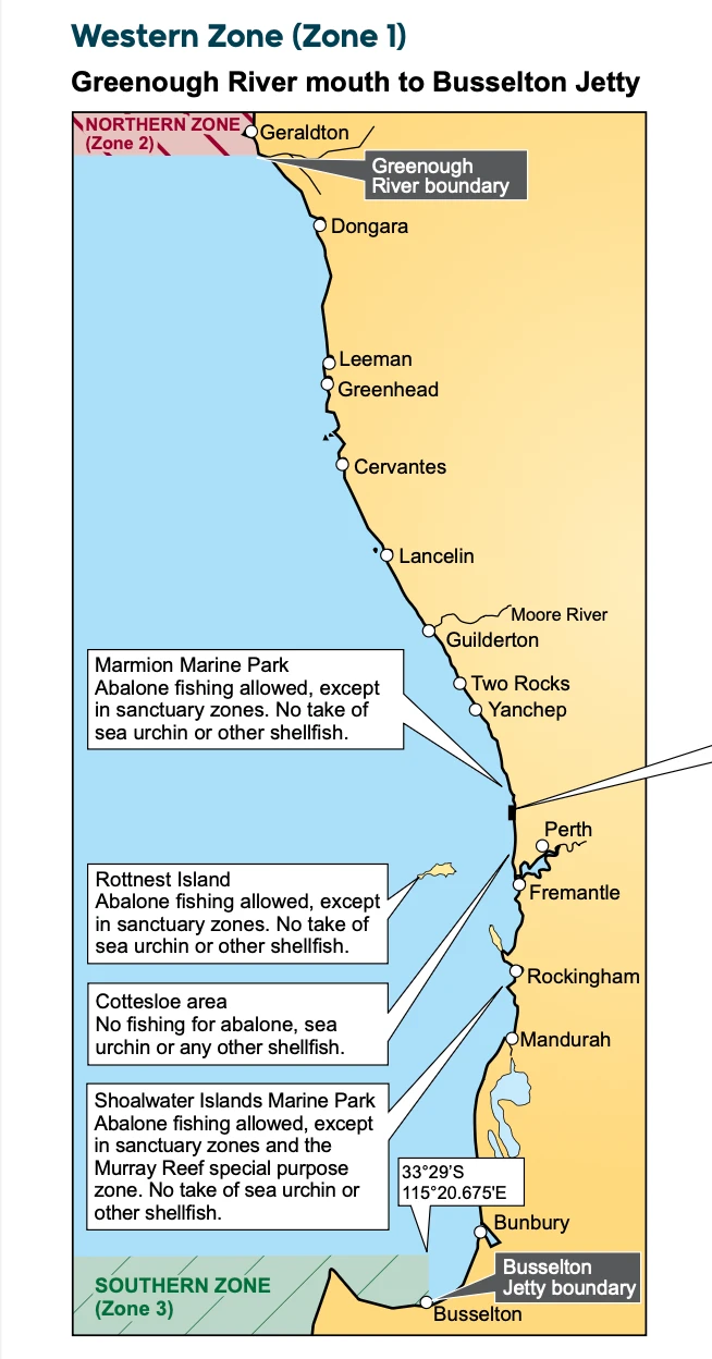 2025-2026西澳捞鲍鱼季最全指南‼️