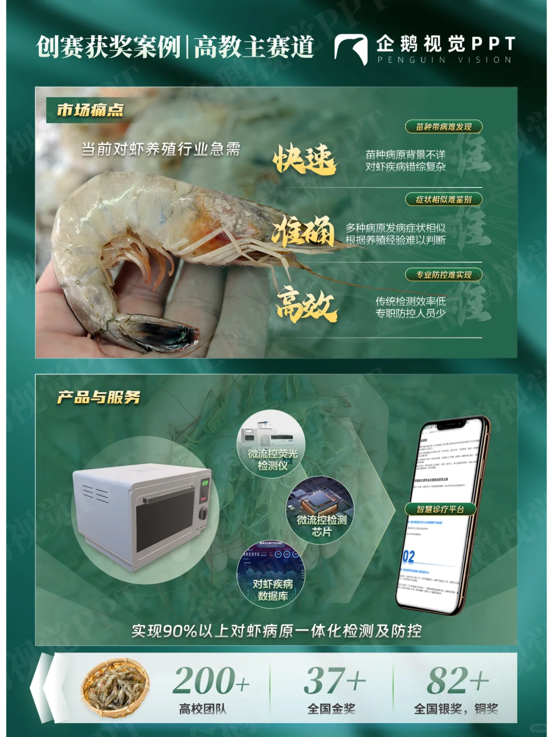 《佳渔芯创》PPT创赛获奖案例|高教主赛道