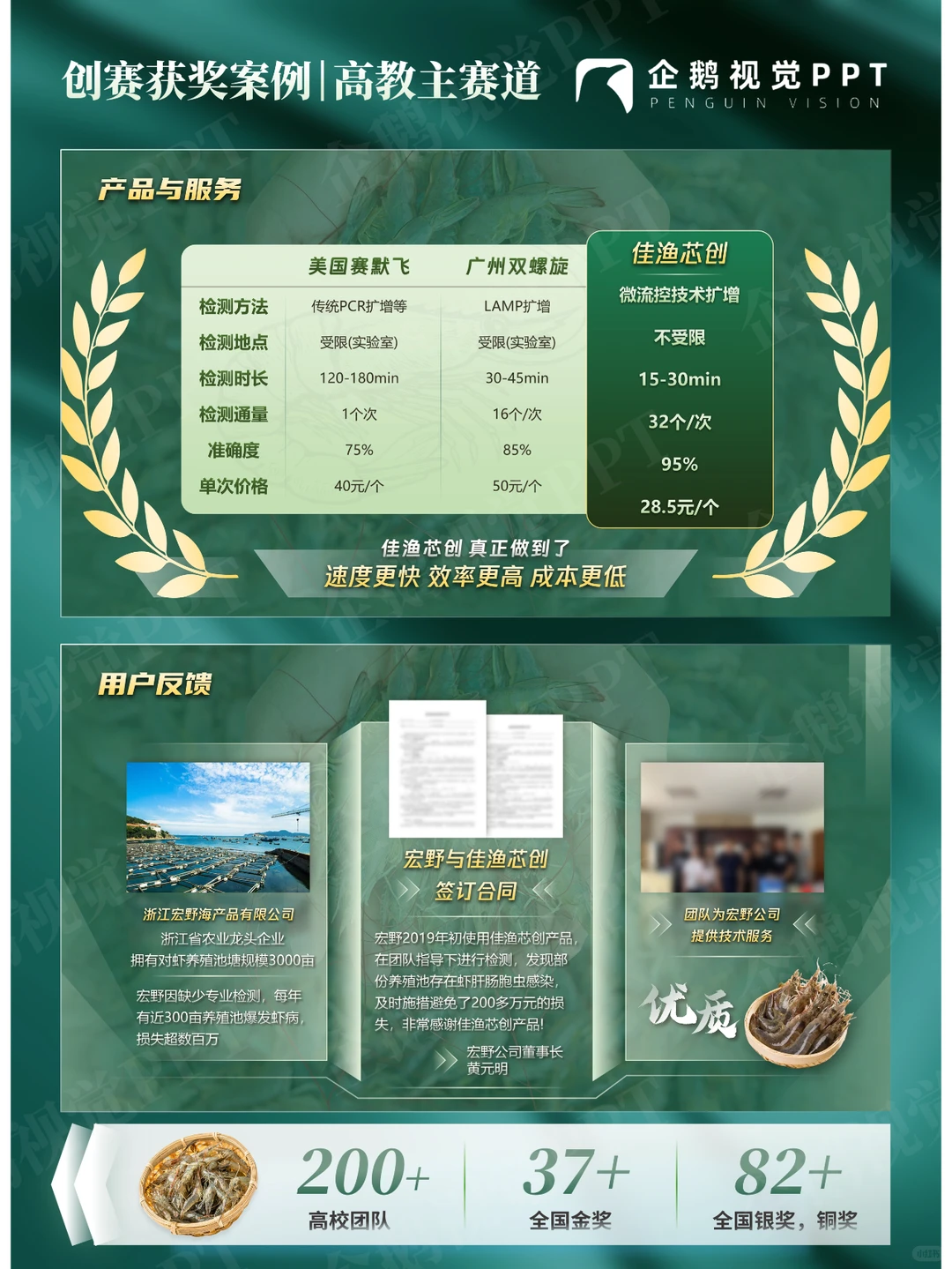 《佳渔芯创》PPT创赛获奖案例|高教主赛道