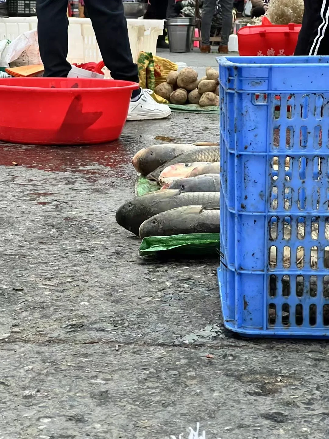 一天赚五块钱,我爸妈也干了五年