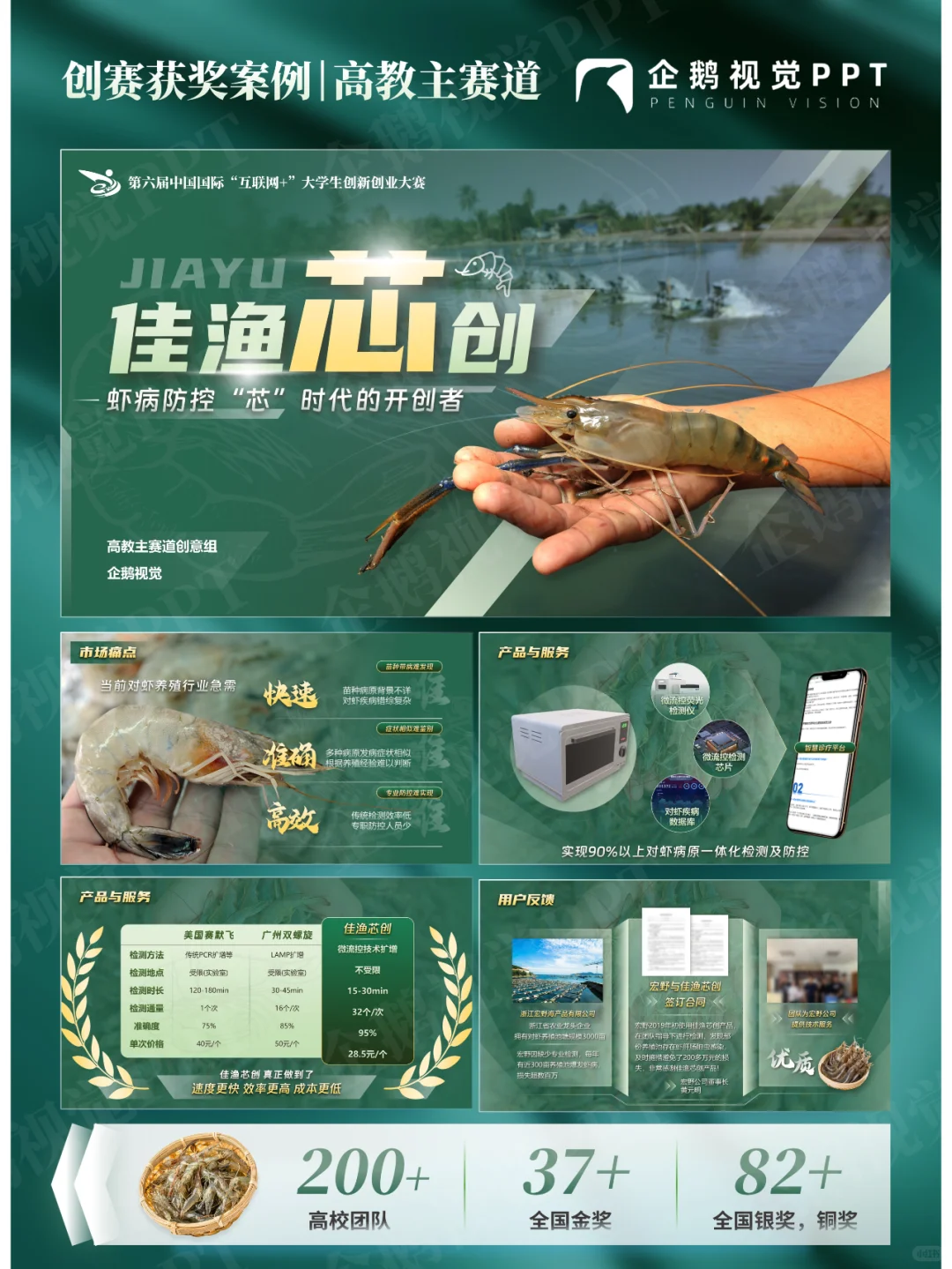 《佳渔芯创》PPT创赛获奖案例|高教主赛道