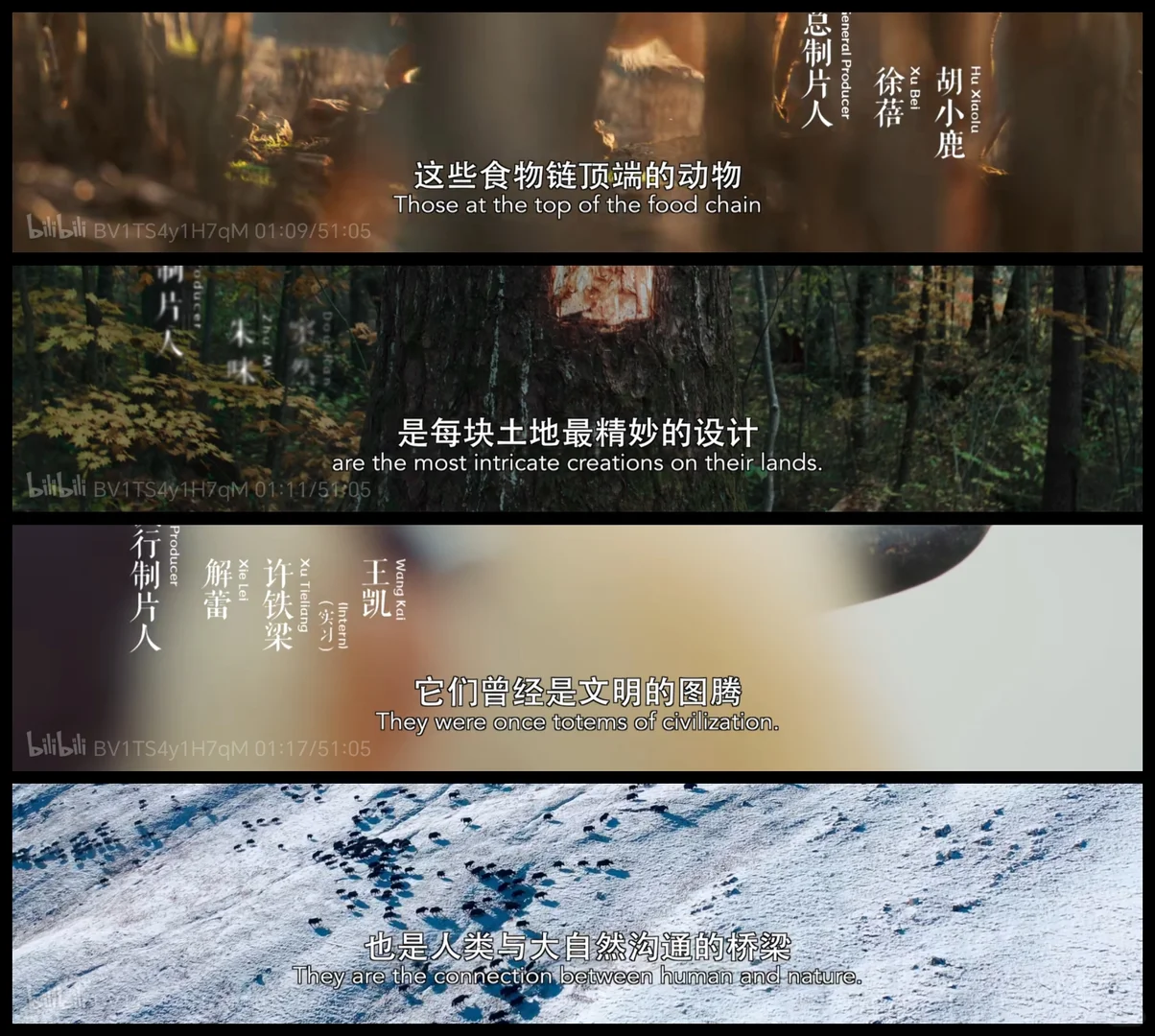 去做维持平衡的一环，就会得到神迹的护佑