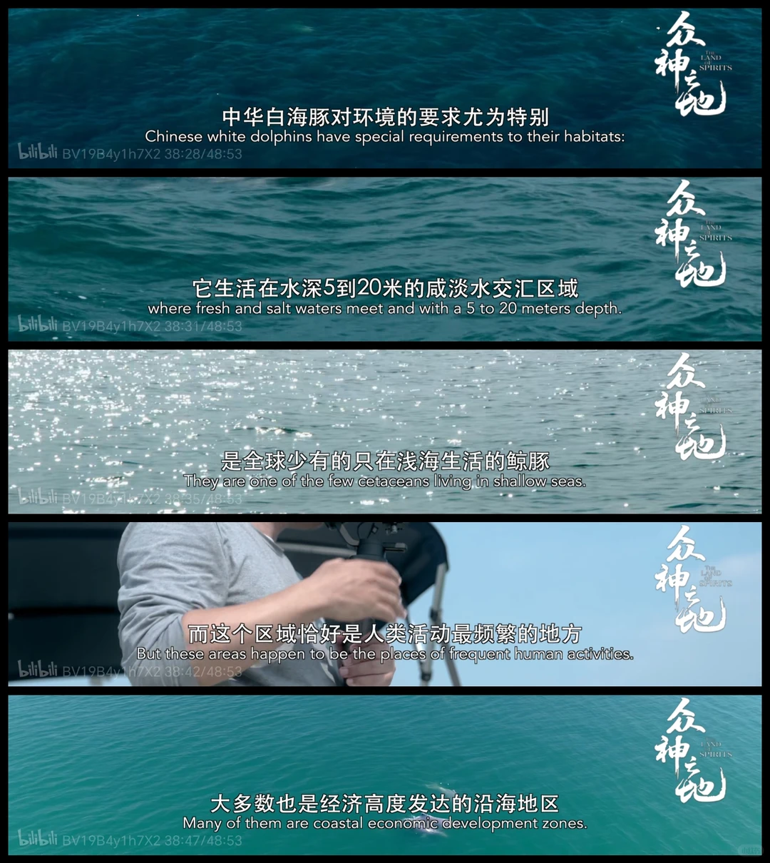 去做维持平衡的一环，就会得到神迹的护佑