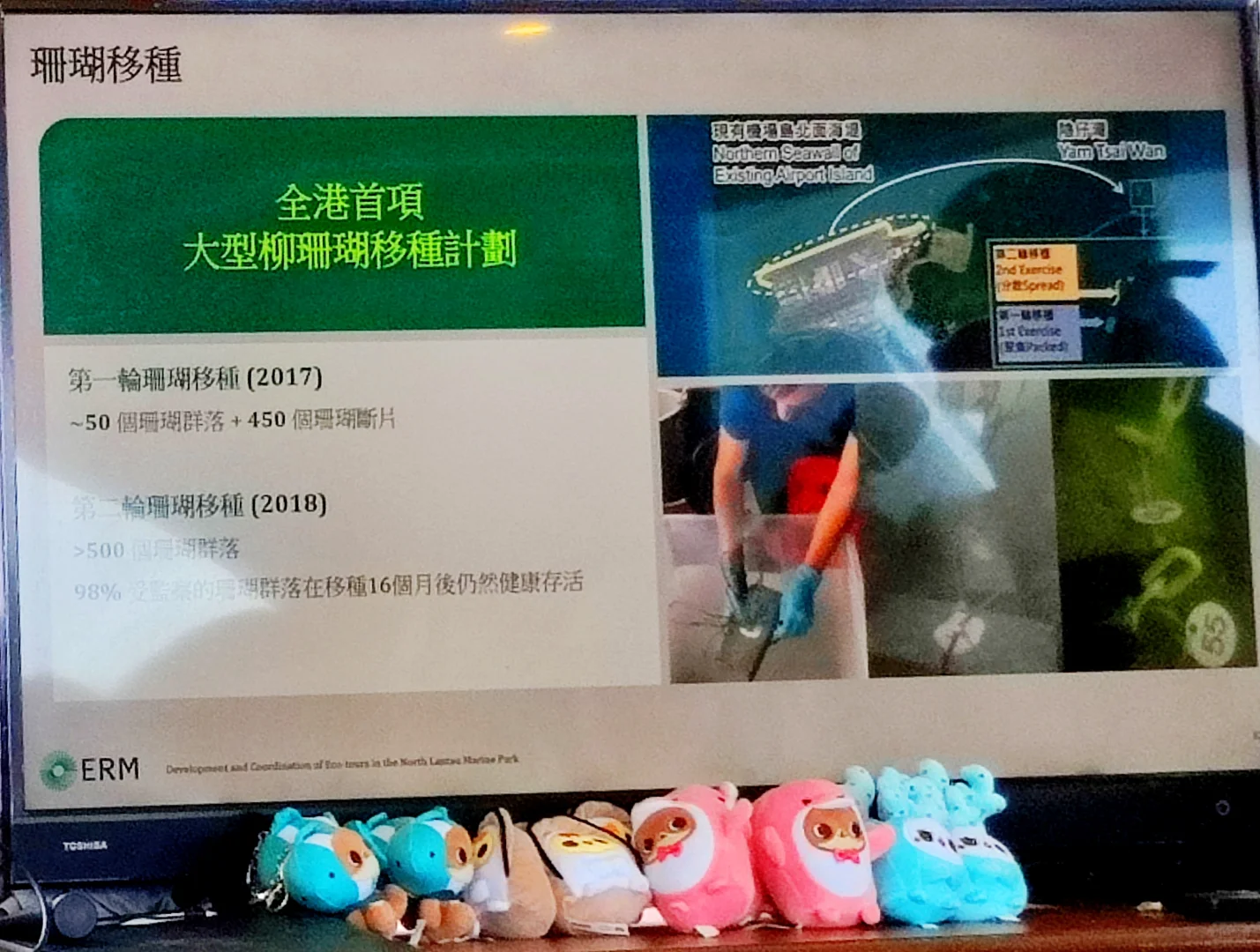 北大嶼海岸公園生態導賞遊