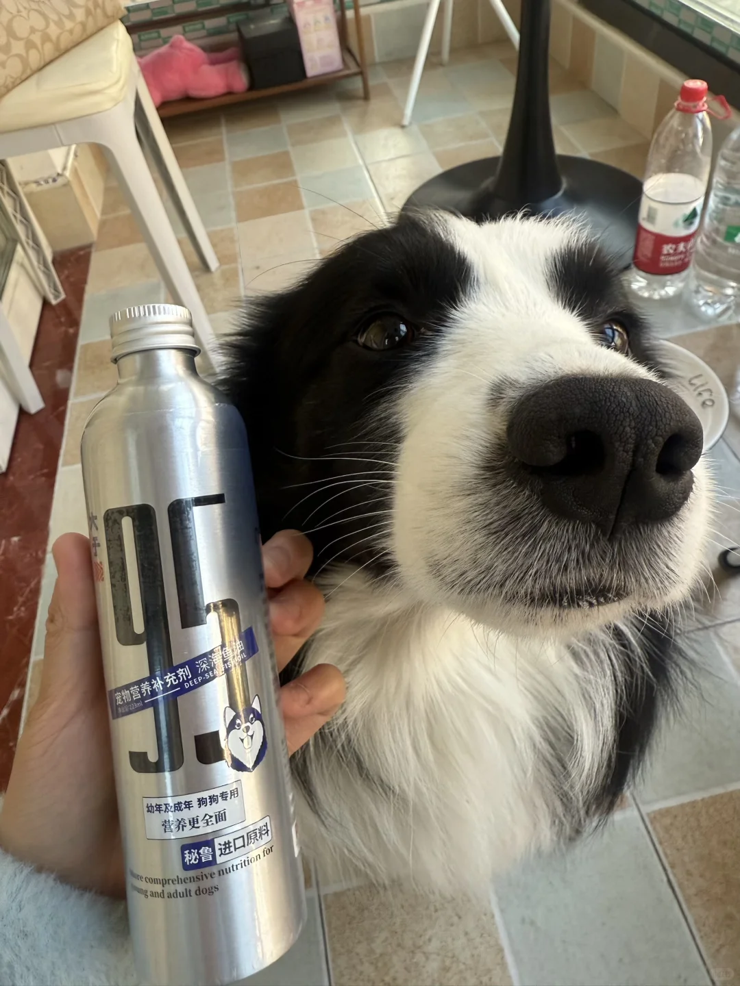 养宠人请进｜养宠人好物分享