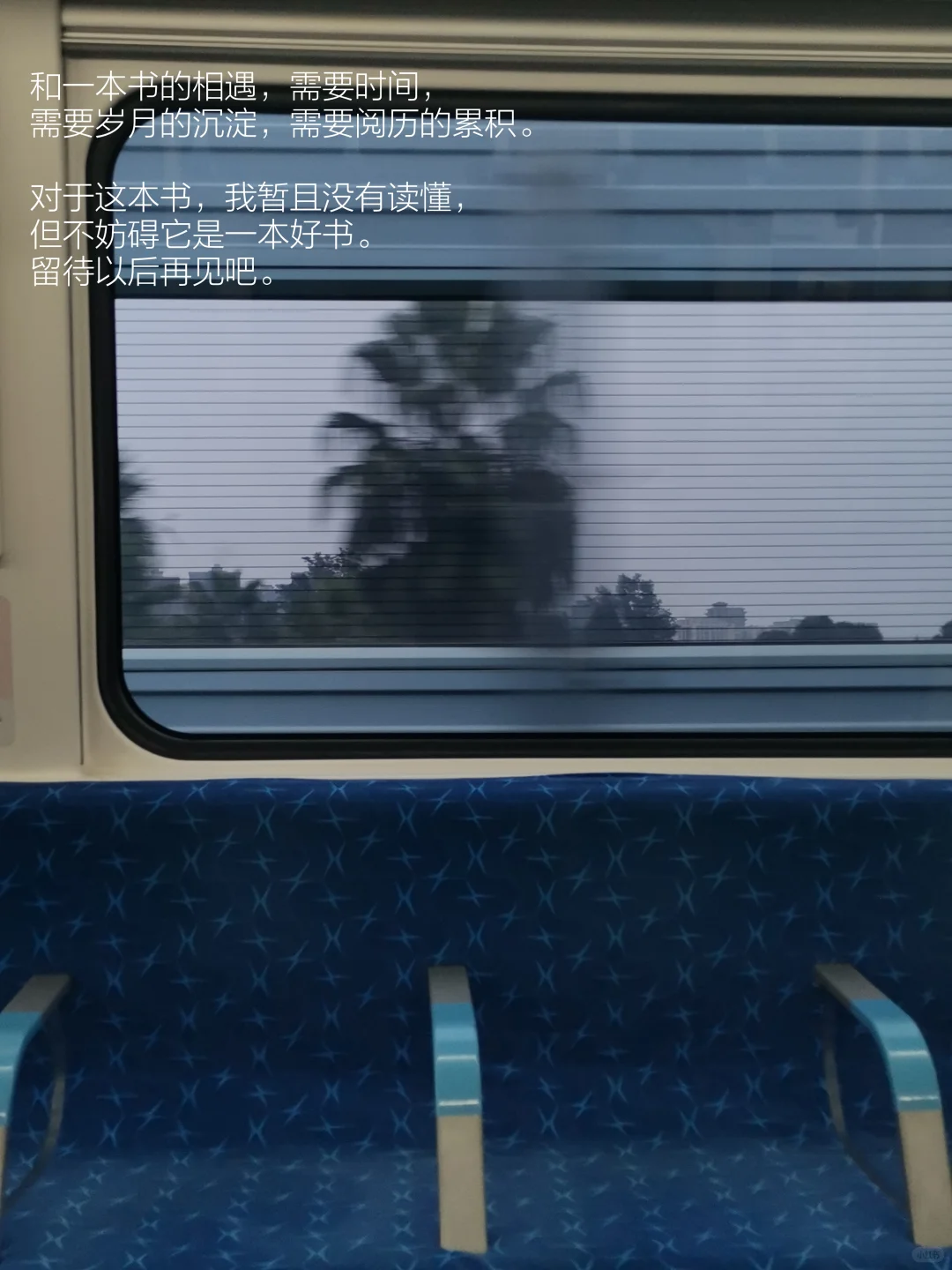 阅读日记｜初读白鲸，它在南太平洋的盛夏