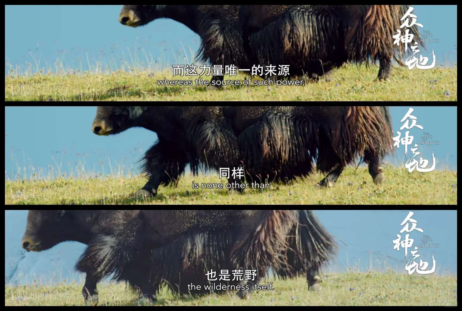 去做维持平衡的一环，就会得到神迹的护佑