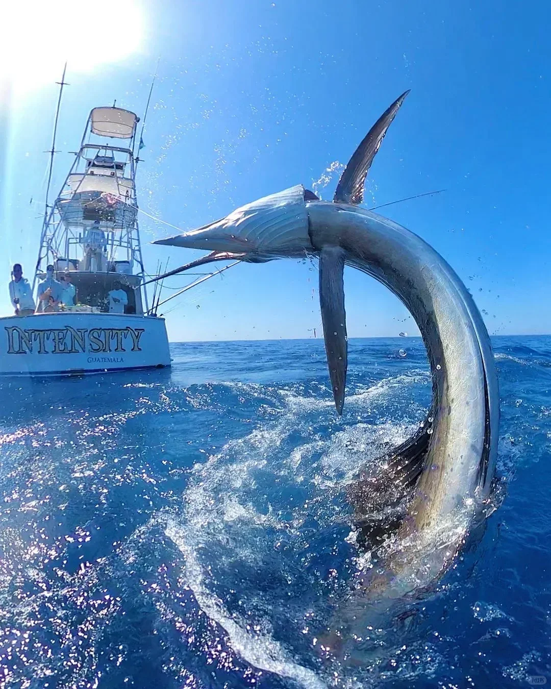 休闲渔业的全面介绍①