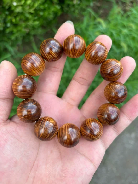 带你了解不一样的崖柏产区巫溪和城口料