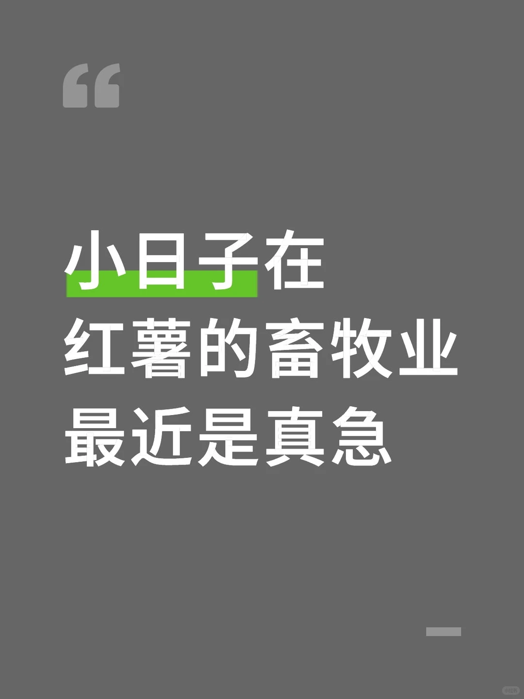 小日子在红薯的畜牧业最近是真急