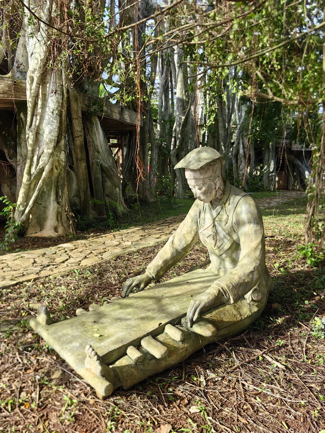 🌴桂林洋热带农业公园