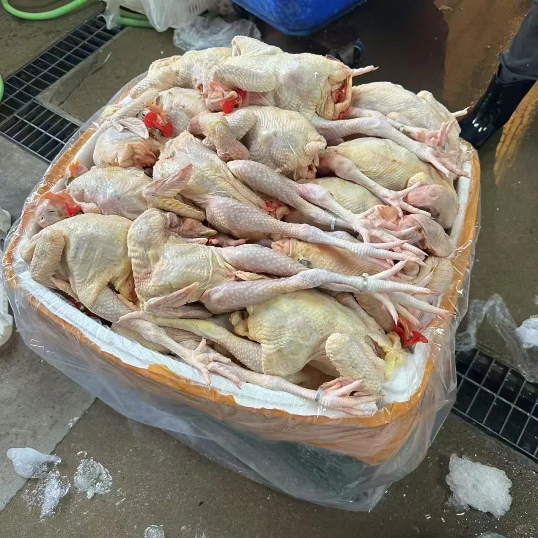 屠宰厂生鲜鸡直销！