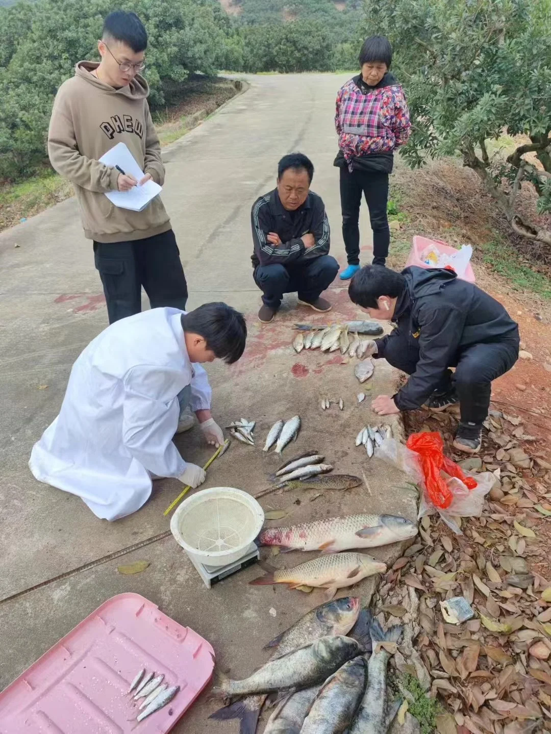 华农-长江所-水产联培生的一年四季🐟🕸️