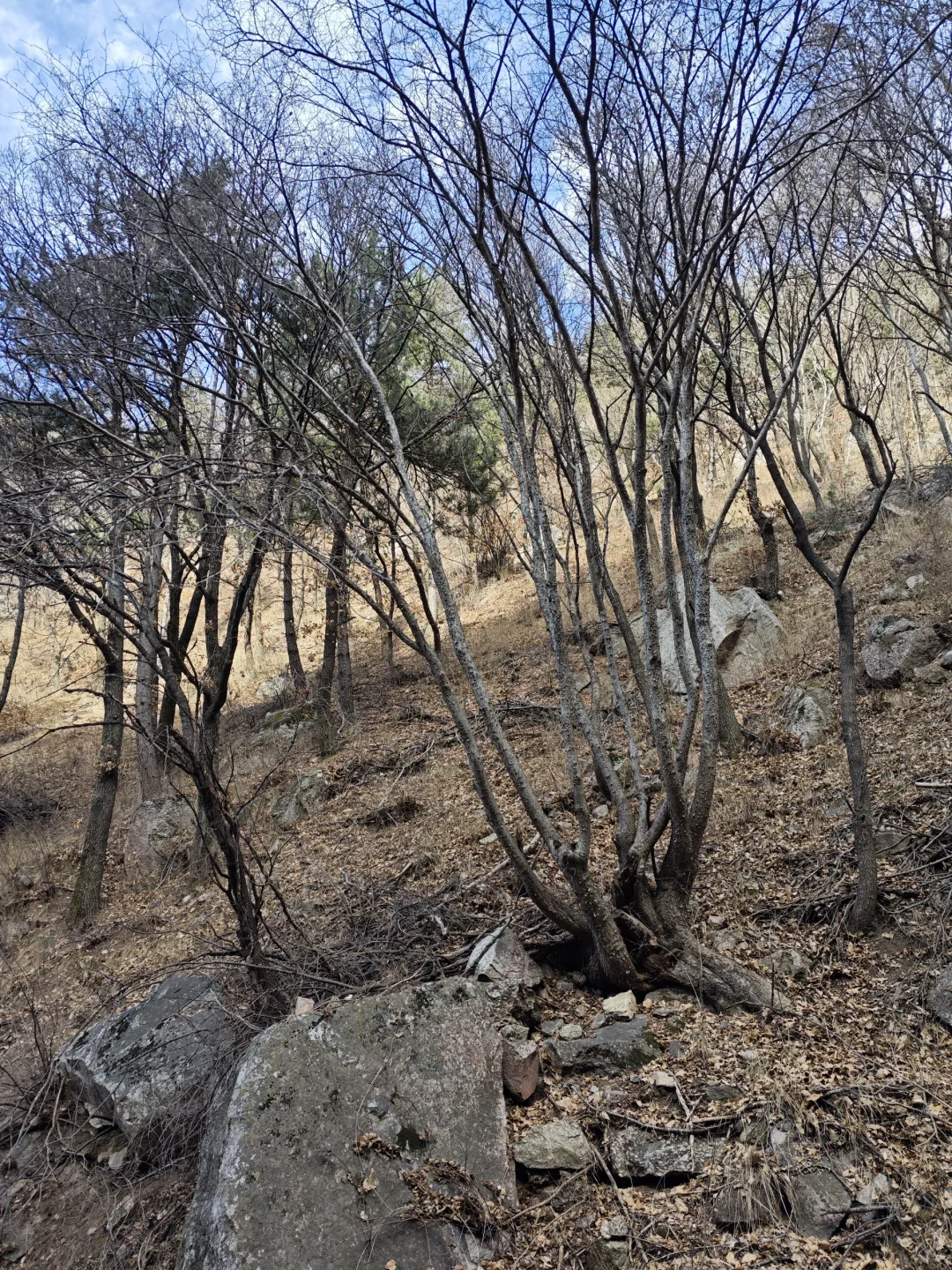 林学毕业工作环境