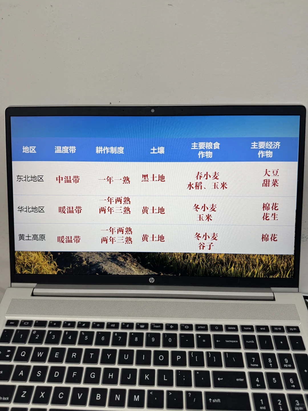 中国粮仓-探北方地区的自然特征与农业